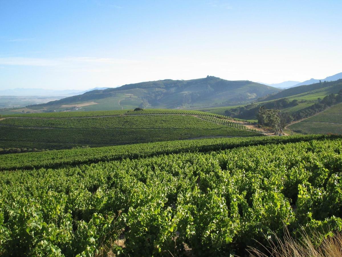 Mooiplaas Wine Estate Appartement Stellenbosch Buitenkant foto