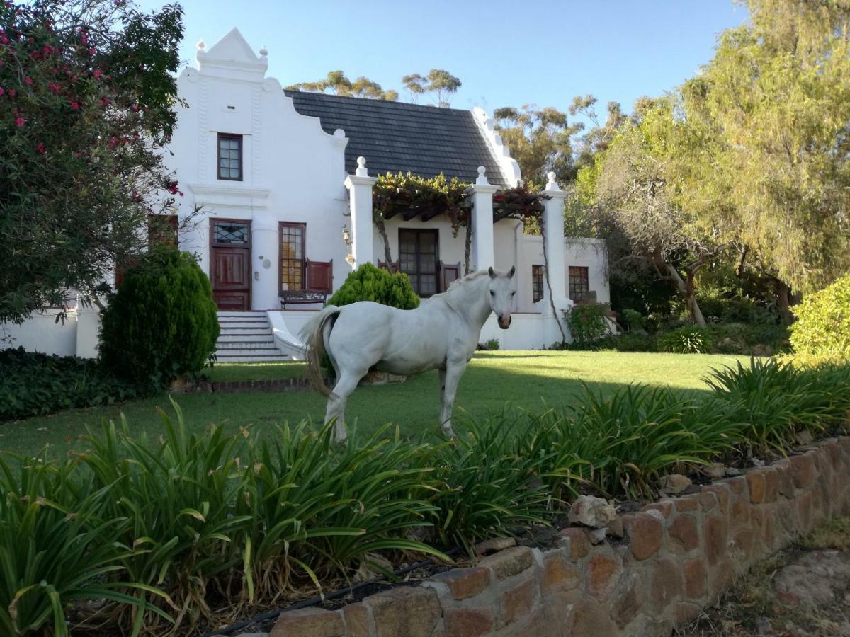 Mooiplaas Wine Estate Appartement Stellenbosch Buitenkant foto